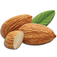 Almond Png Picture