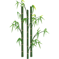 Bamboo Png Picture