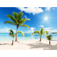 Beach Download Png