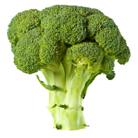 Broccoli Png Picture