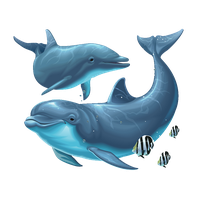 Dolphin Png File