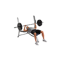 Exercise Bench Free Download Png