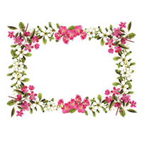 Flowers Borders Png Clipart