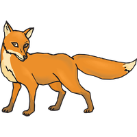 Fox Png 9