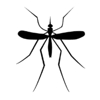 Mosquito Download Png