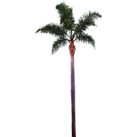 Palm Tree Png File