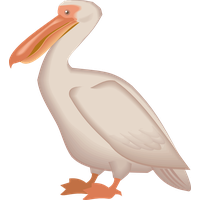 Pelican Png