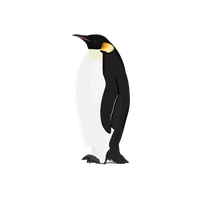Penguin Png Picture