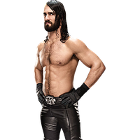 Seth Rollins Png Picture