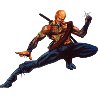Shadow Warrior Png Image
