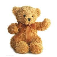 Teddy Bear Png Picture