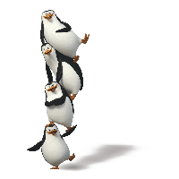 Penguins Png Image