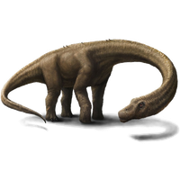 Dinosaurs PNG Free Photo
