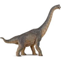 Diplodocus PNG Image High Quality