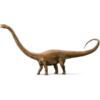 Diplodocus Picture PNG File HD
