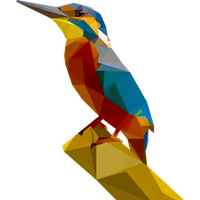 Kingfisher Image PNG File HD