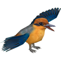 Kingfisher Image Download HD PNG