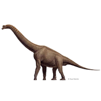 Brachiosaurus Download Free Transparent Image HD