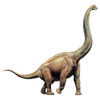 Brachiosaurus Image Free HD Image