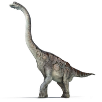 Brachiosaurus PNG File HD
