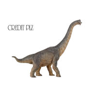 Brachiosaurus Image Free Clipart HD