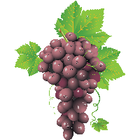 Red Grape Png Image