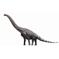 Brachiosaurus Download Free Image