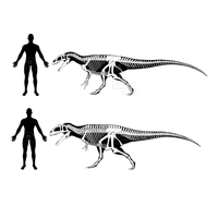 Theropod Free Download PNG HQ