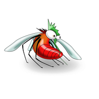 Mosquito PNG Image High Quality