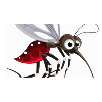 Mosquito Picture Free Download PNG HQ