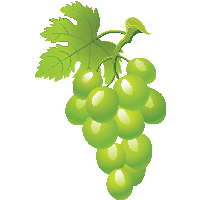 Green Grape Picture Png Image