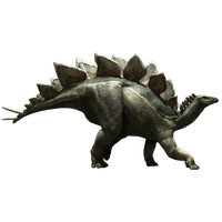 Stegosaurus Image PNG Free Photo