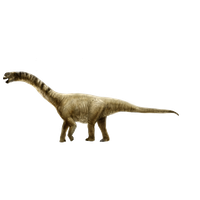 Sauropod Picture PNG Download Free