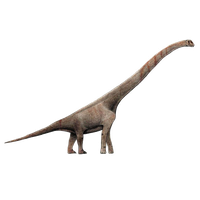 Sauropod Picture Download HQ PNG