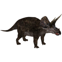 Triceratop Download PNG Free Photo