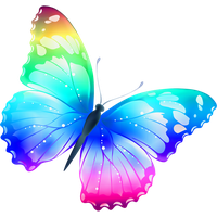Colorful Butterfly Png Image