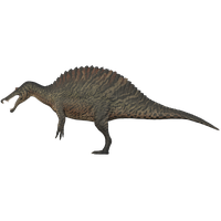 Spinosaurus Image PNG Free Photo