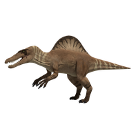 Spinosaurus HD Image Free PNG