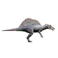 Spinosaurus Download Free Image