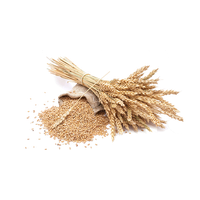 Grain Picture PNG Image High Quality