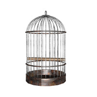 Cage Free Download PNG HQ