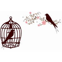 Caged Bird Image Free Download PNG HQ
