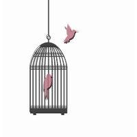 Caged Bird Picture Download HD PNG
