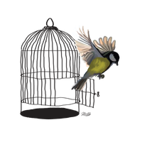 Caged Bird Free Download Image