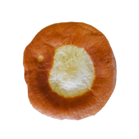 Donut PNG Free Photo