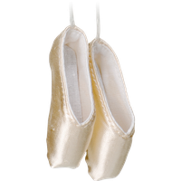Pointe Shoes Download Free Transparent Image HQ