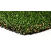 Artificial Turf Picture Free Transparent Image HQ