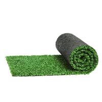 Artificial Turf Free Transparent Image HD
