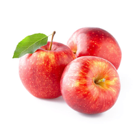 Apple Ripe Juice Fruit Apples Seed Red