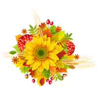 Autumn Picture Decor Flower Download Free Image